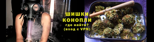 шишки Козловка